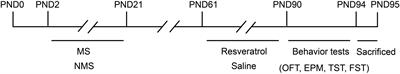 Resveratrol ameliorates maternal separation-induced anxiety- and depression-like behaviors and reduces Sirt1-NF-kB signaling-mediated neuroinflammation